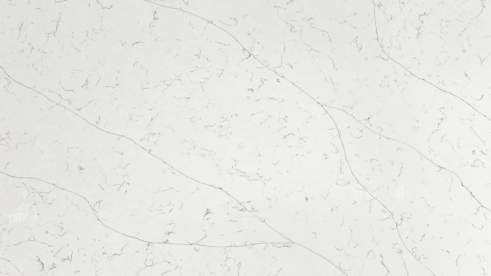 Calacatta Venatino Grey